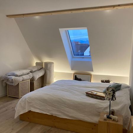 Neues Penthouse-Loft Mit Konuskarte Fuer Gratis Oepnv Apartman Ehrenkirchen Kültér fotó