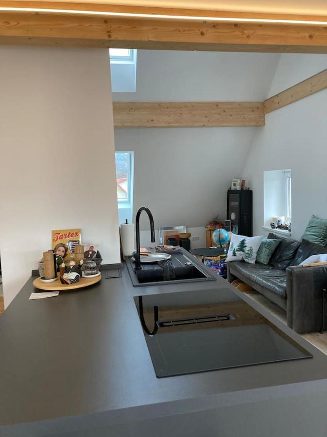 Neues Penthouse-Loft Mit Konuskarte Fuer Gratis Oepnv Apartman Ehrenkirchen Kültér fotó
