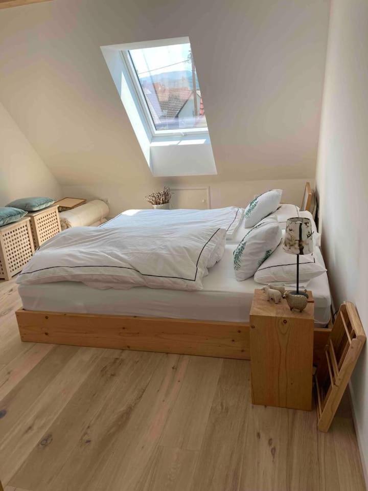 Neues Penthouse-Loft Mit Konuskarte Fuer Gratis Oepnv Apartman Ehrenkirchen Kültér fotó