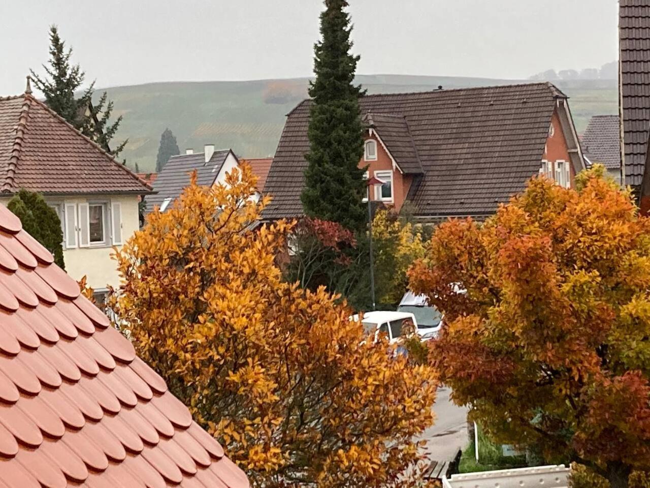 Neues Penthouse-Loft Mit Konuskarte Fuer Gratis Oepnv Apartman Ehrenkirchen Kültér fotó